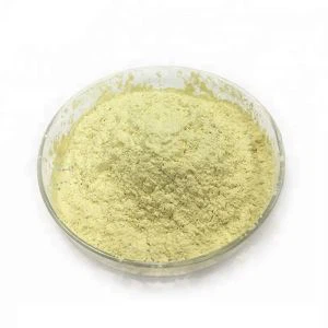 Máy gia tốc DM